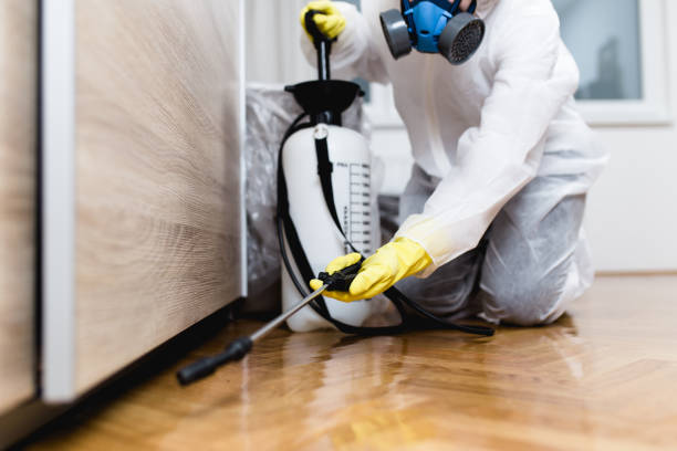 Insect Control in Eastvale, CA