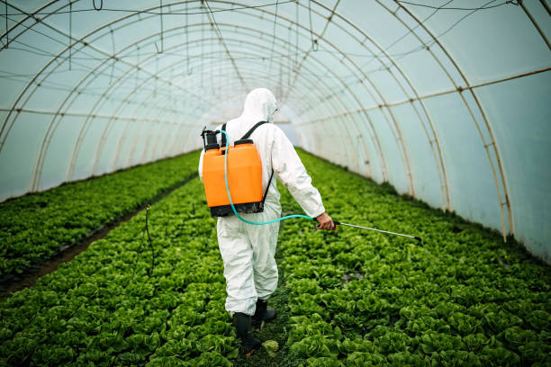 Best Pest Control Near Me  in Eastvale, CA