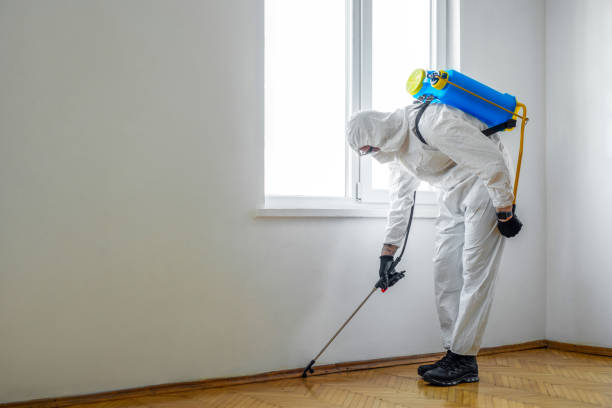 Best Flea Control Services  in Eastvale, CA