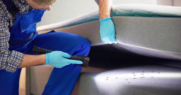 Best Wildlife Control Services  in Eastvale, CA