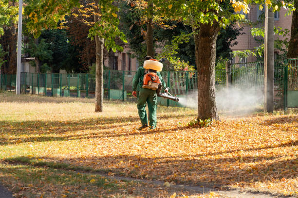 Best Pest Control for Businesses  in Eastvale, CA