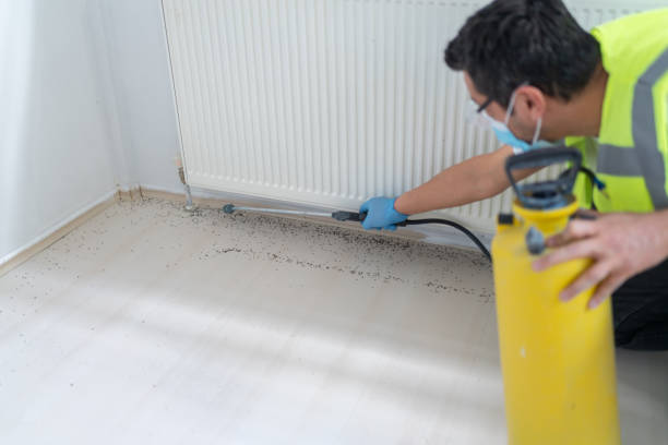 Best Insect Control  in Eastvale, CA