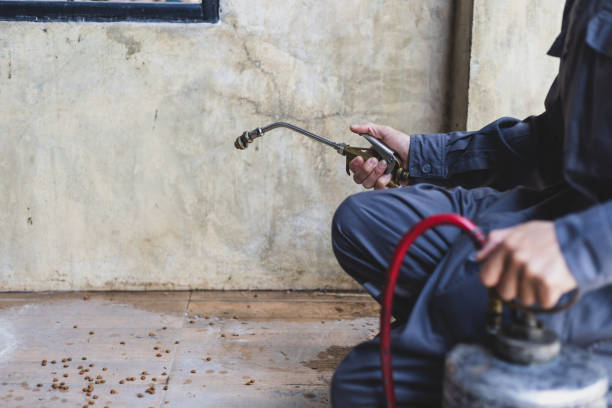  Eastvale, CA Pest Control Pros