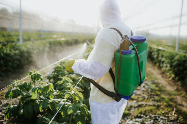Best Pest Control Cost  in Eastvale, CA